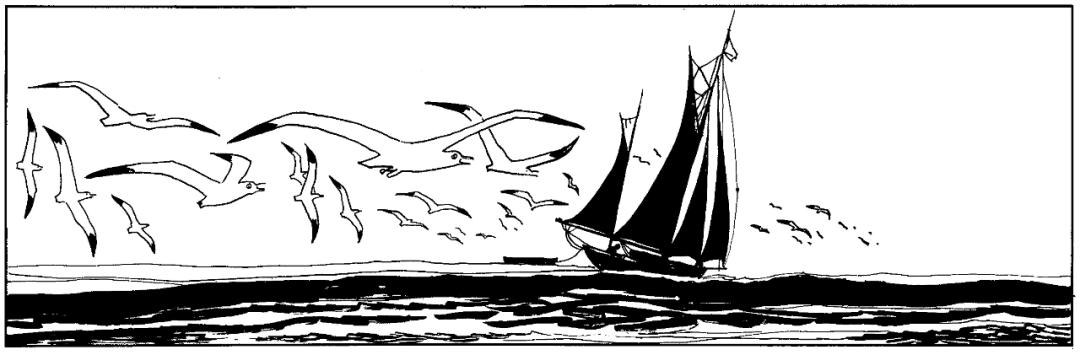 浪漫吸烟书单,吸烟后浪漫书籍