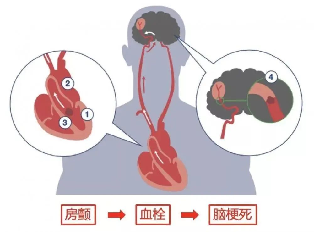 地区医院“摆摊首秀”来一波