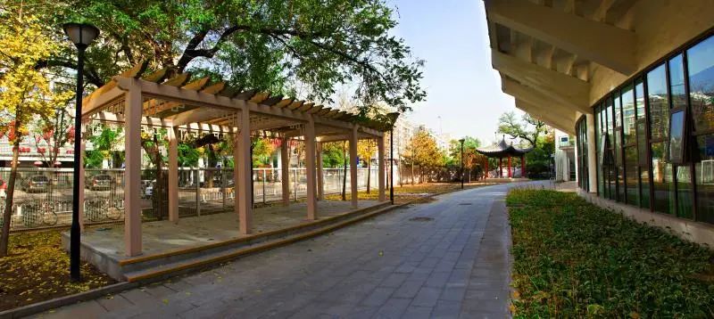 北京八中京西校区招生计划,北京八中2020高考招生人数