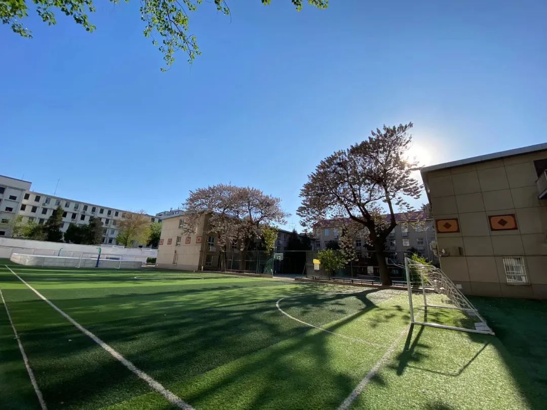 北京八中京西校区招生计划,北京八中2020高考招生人数