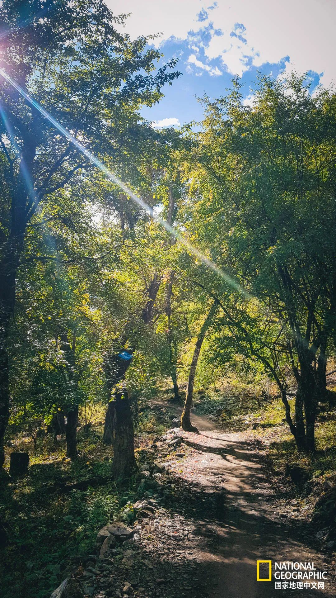 雨崩村自驾转山攻略,雨崩转山朝圣之旅