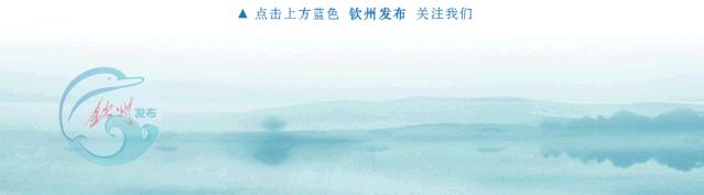 共建“一带一路”共创石化未来中国—东盟石油和化工国际合作论坛在南宁举行顾秀莲出席并致辞