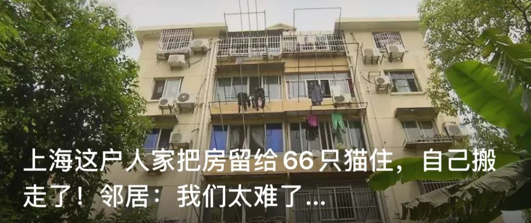 十款平民化妆品 (平民顶级化妆品)