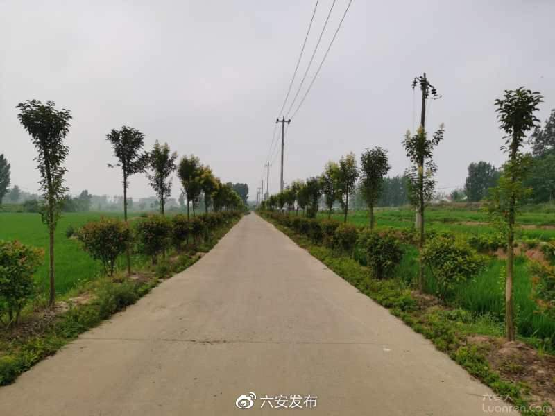 霍邱县众兴乡唐老庄村,六安霍邱唐老庄