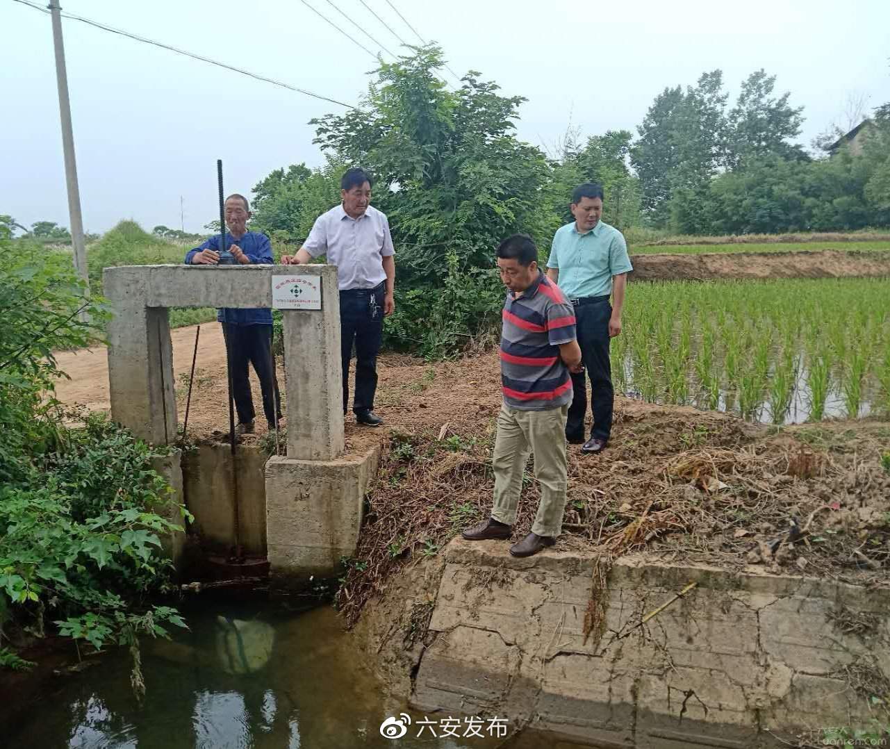 霍邱县众兴乡唐老庄村,六安霍邱唐老庄