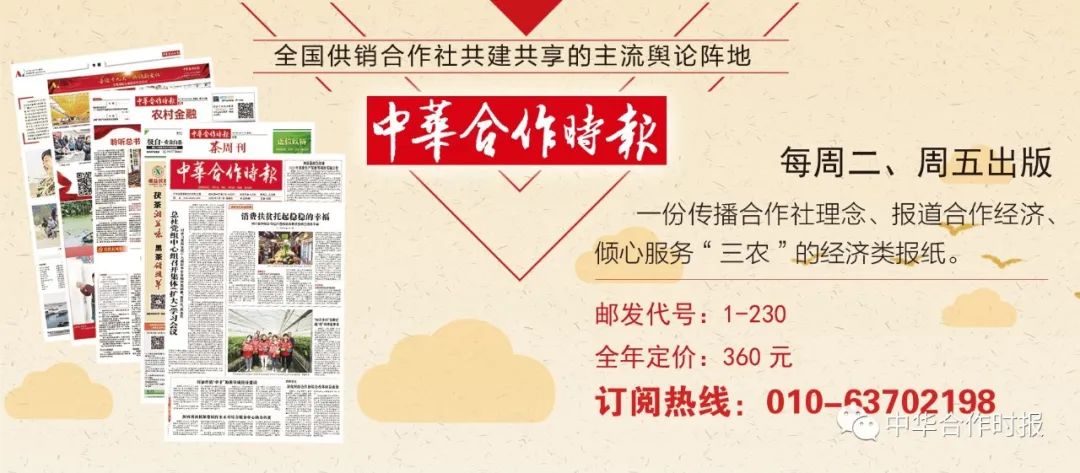 瀹樻柟閫氱煡鍏憡pdf,閫氱煡鏂囦欢pdf