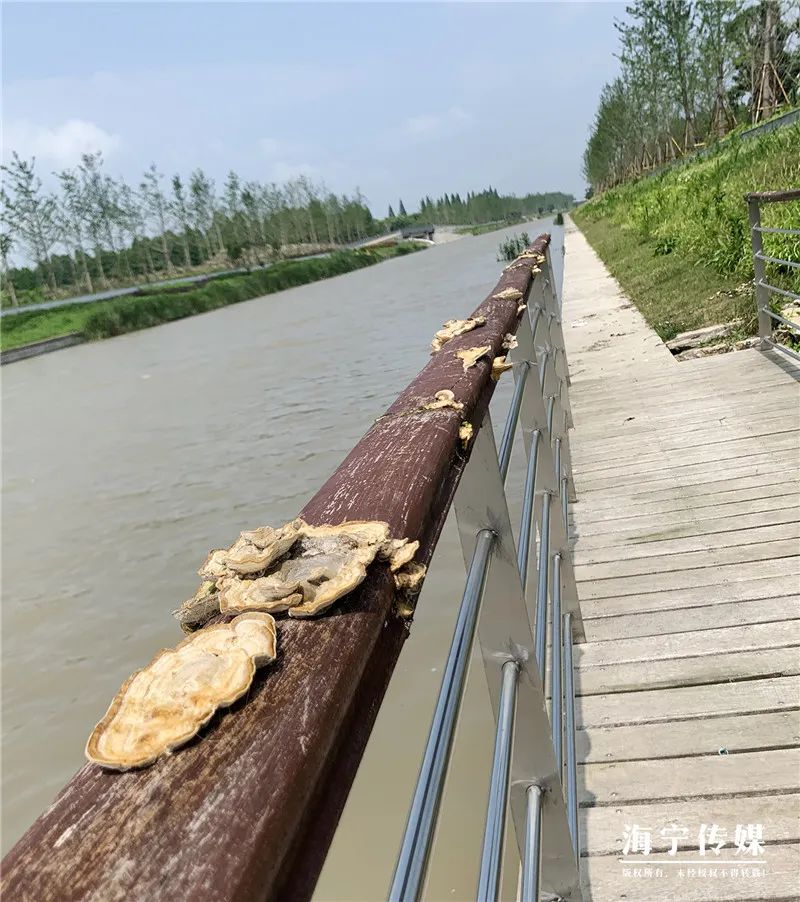 纯天然的野货视频,纯天然野货