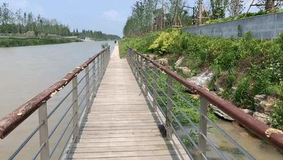 纯天然的野货视频,纯天然野货