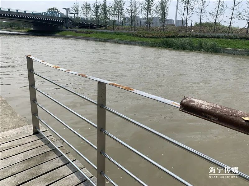 纯天然的野货视频,纯天然野货