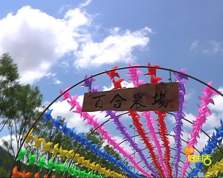 近郊亲子农场有哪些地方,亲子休闲农场