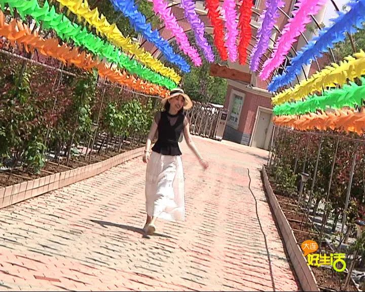 近郊亲子农场有哪些地方,亲子休闲农场