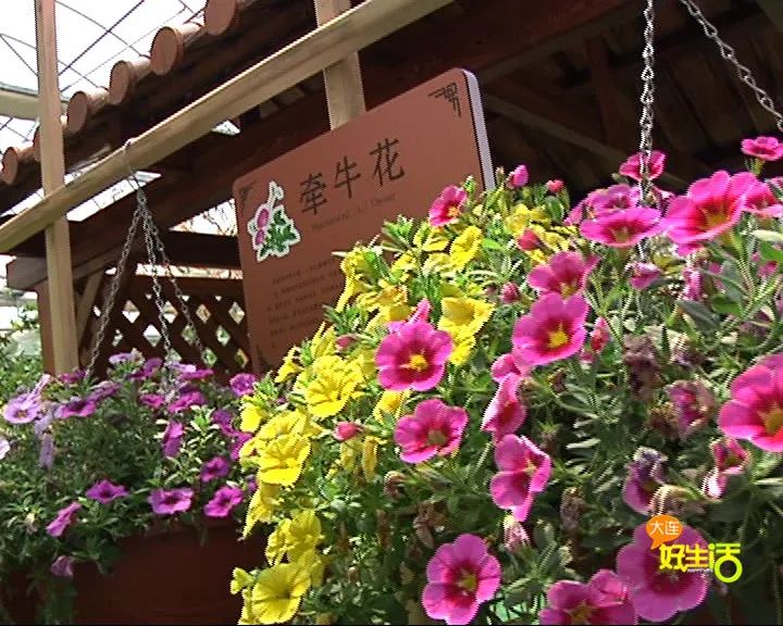 近郊亲子农场有哪些地方,亲子休闲农场