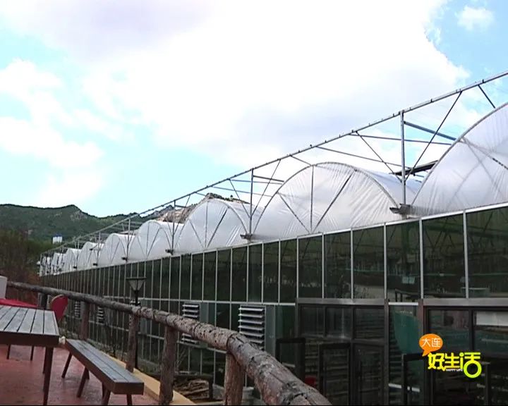 近郊亲子农场有哪些地方,亲子休闲农场