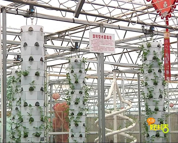 近郊亲子农场有哪些地方,亲子休闲农场