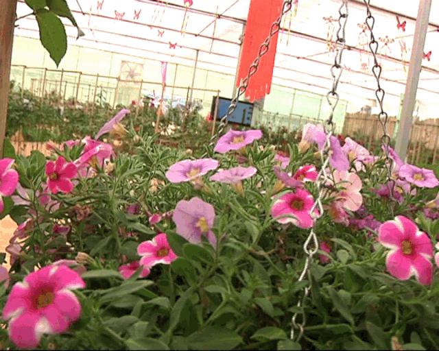 近郊亲子农场有哪些地方,亲子休闲农场