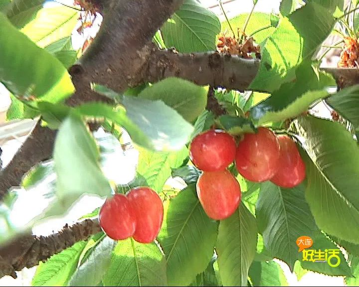 近郊亲子农场有哪些地方,亲子休闲农场