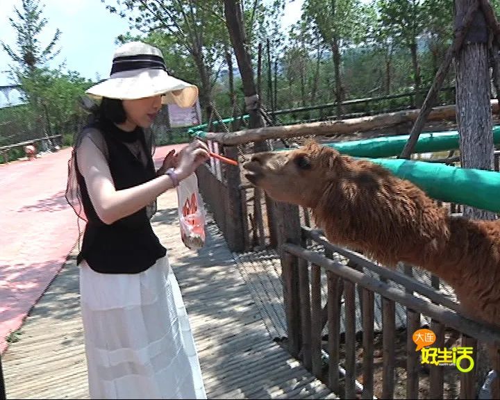 近郊亲子农场有哪些地方,亲子休闲农场