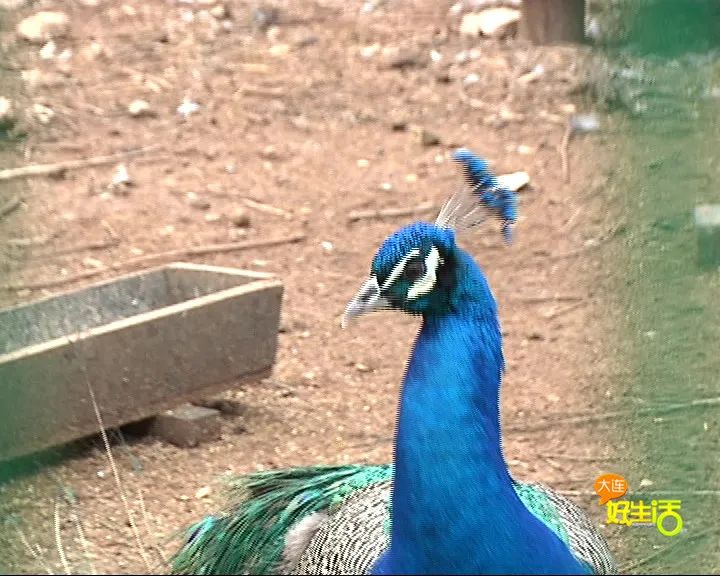 近郊亲子农场有哪些地方,亲子休闲农场