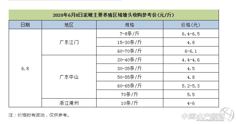 泥鳅价格走势预测,泥鳅价格为什么下跌