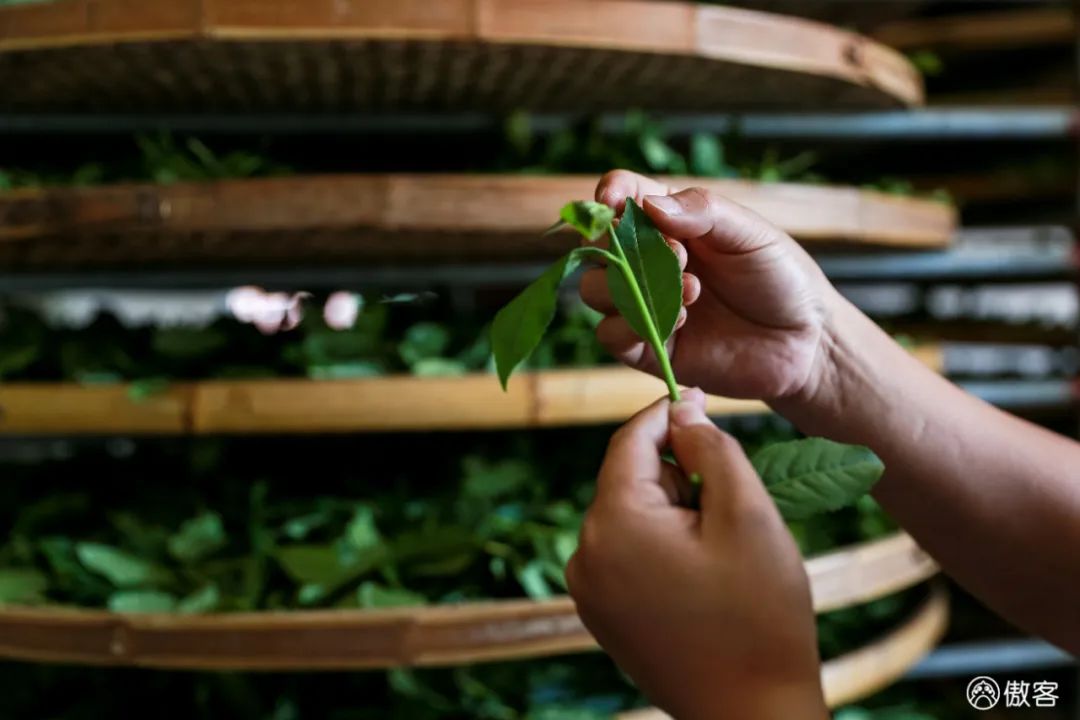 安溪下午茶小吃有哪些店,安溪三级铁观音好喝吗