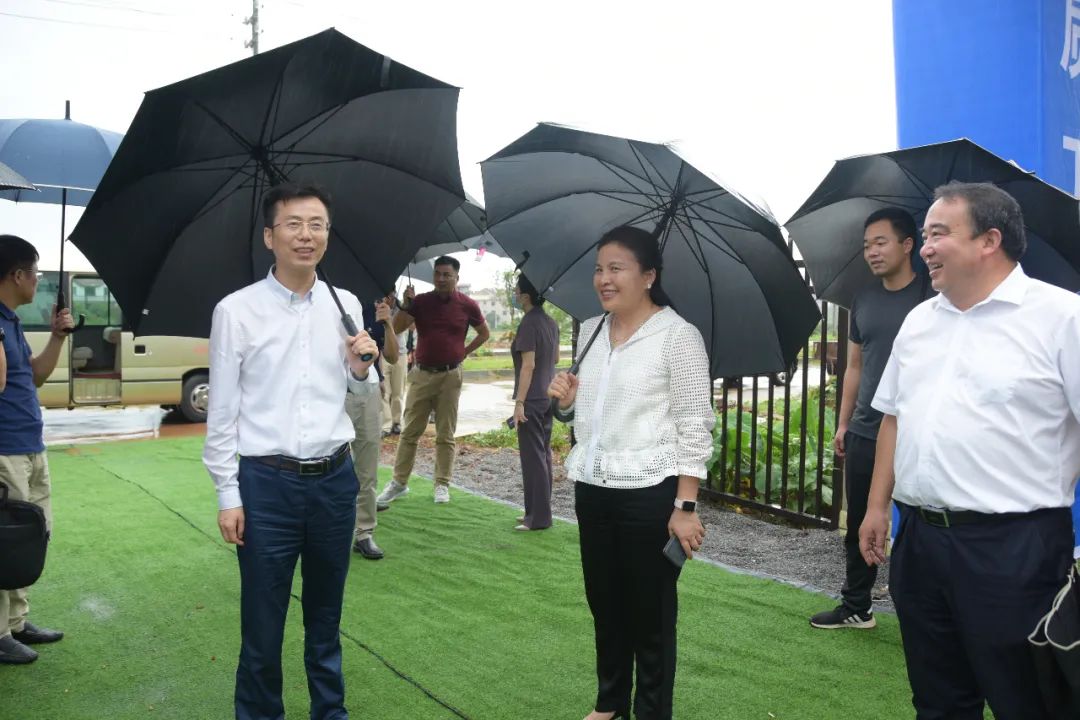 副市长龙国英一行在我县调研社会足球场建设