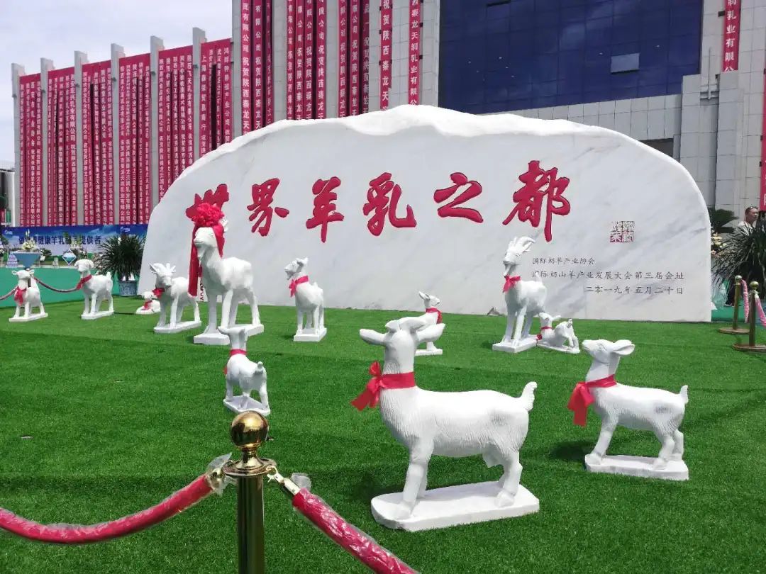 阎良区2020年考核优秀单位,阎良区政府目标责任奖发放