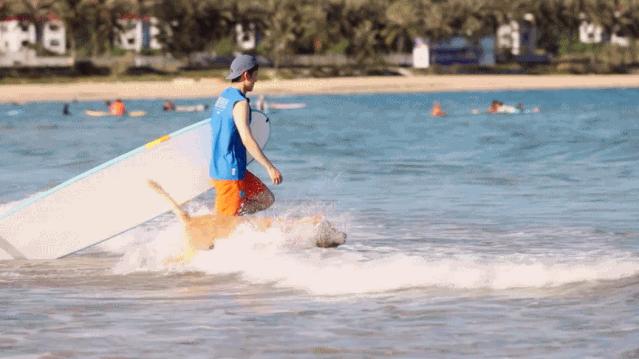冲浪馆坐风破浪,海上冲浪坐风破浪