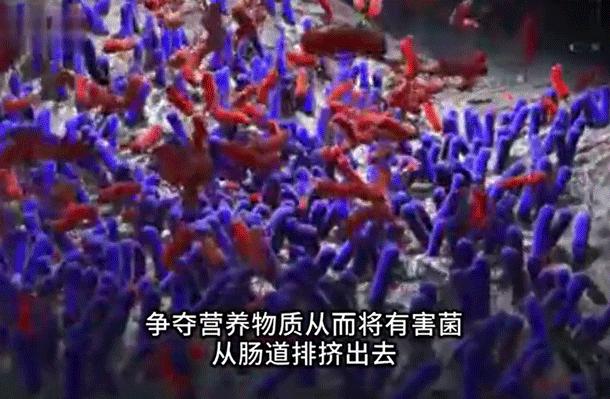 口臭痘痘胃脘疼便秘,痘痘多口臭怎么办