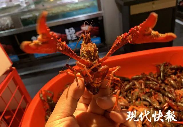 19岁小伙与小龙虾,小伙半夜吃六斤小龙虾结果悲剧了