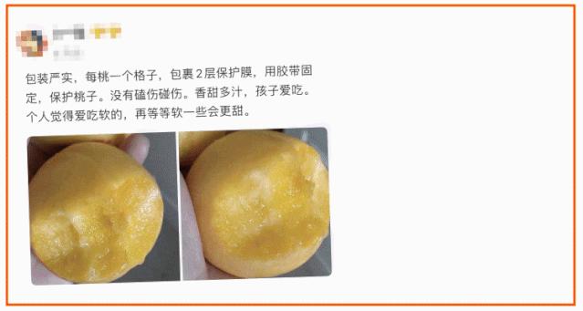 沂蒙山蒙阴黄金油桃五斤装,山东蒙阴正宗黄金油桃