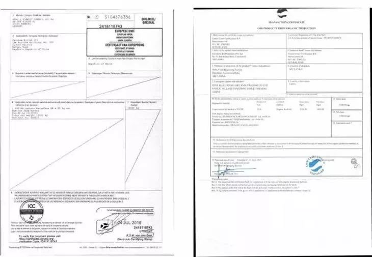 过敏了鼻炎鼻塞严重,过敏鼻炎十年不治会怎样
