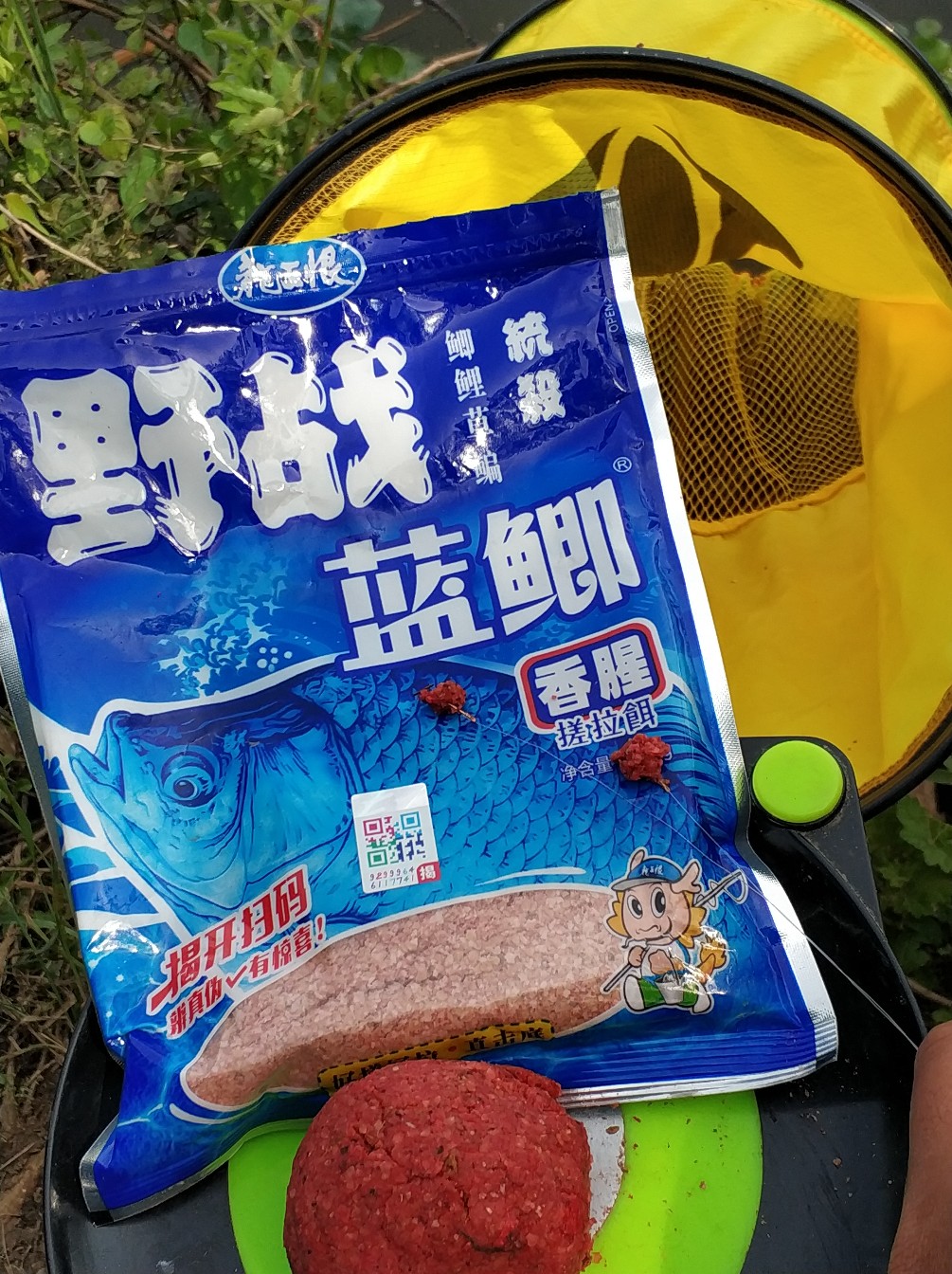 回忆往事作文关于钓鱼,回忆钓鱼的往事