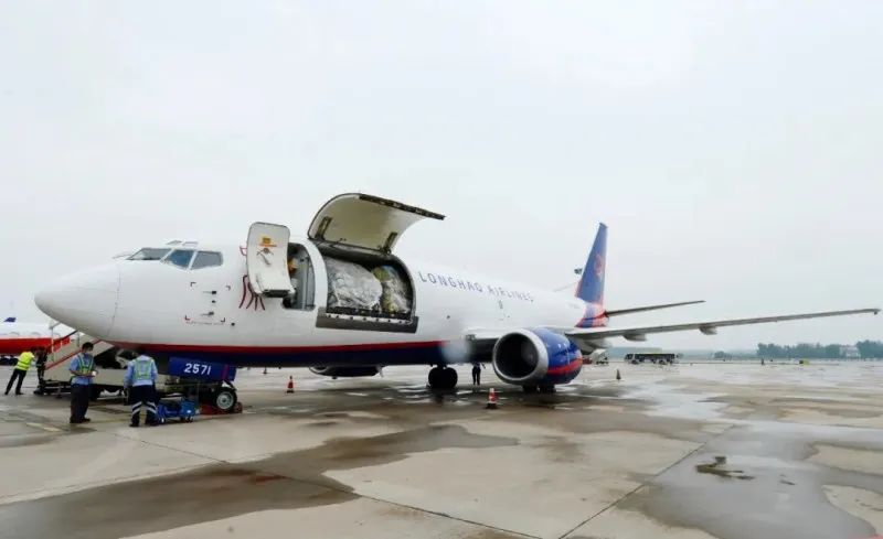 郑州机场开通的国际航线有哪些,郑州重磅