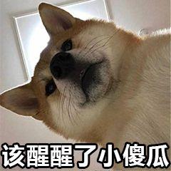 揭开翡翠神秘面纱,揭开花中黄金藏红花的神秘面纱