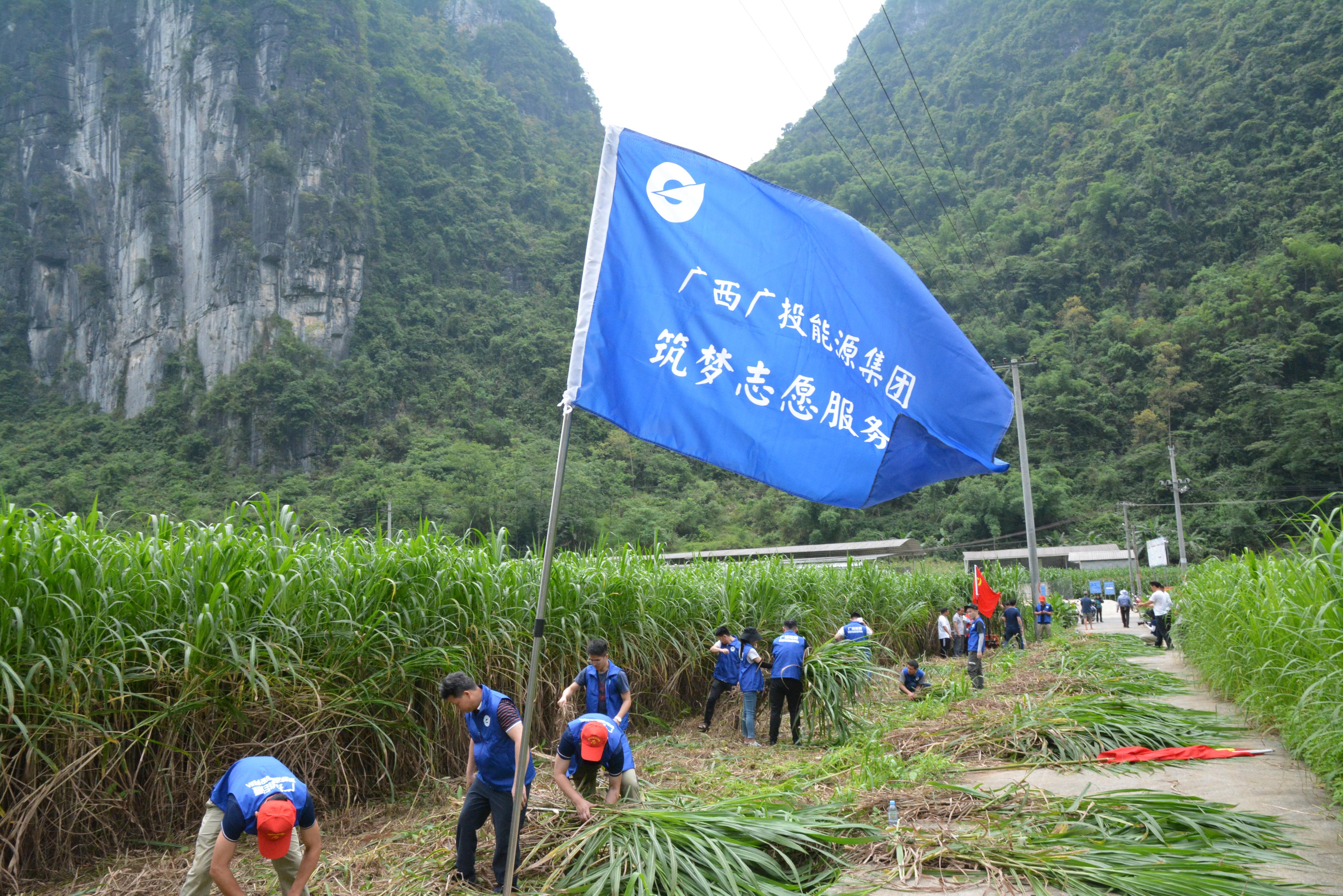 广西投资集团投资开发项目,广西投资集团协同发展