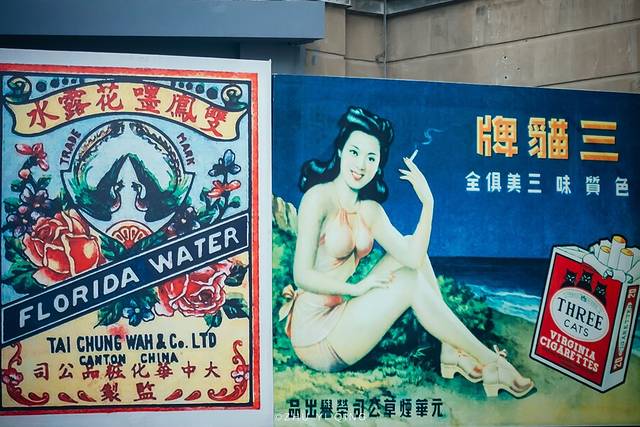 上海松江最有格调的小镇,上海松江郊野公园景色