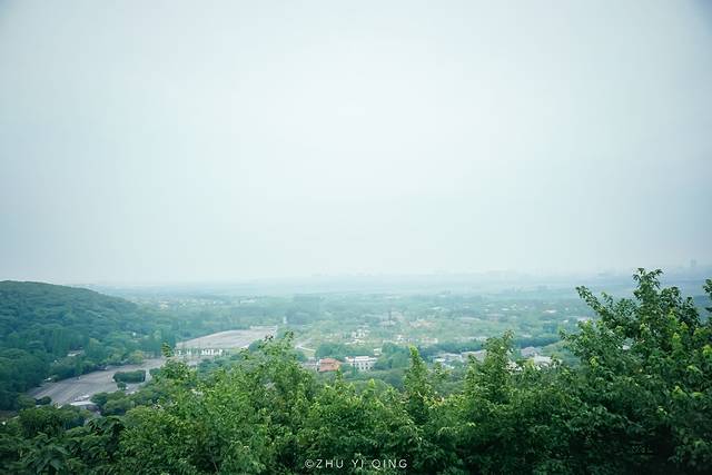 上海松江最有格调的小镇,上海松江郊野公园景色