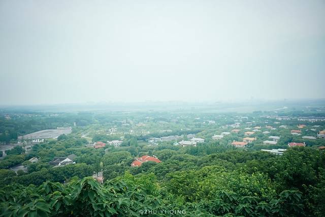 上海松江最有格调的小镇,上海松江郊野公园景色