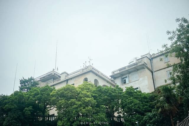 上海松江最有格调的小镇,上海松江郊野公园景色