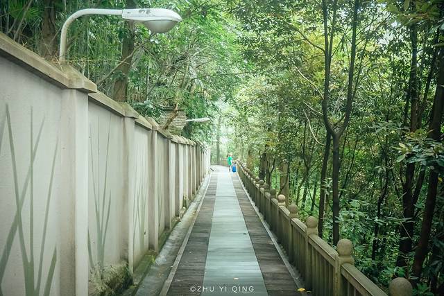 上海松江最有格调的小镇,上海松江郊野公园景色