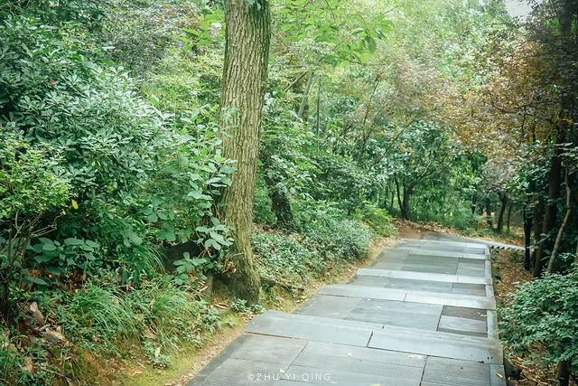 上海松江最有格调的小镇,上海松江郊野公园景色