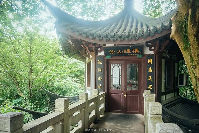 上海松江最有格调的小镇,上海松江郊野公园景色