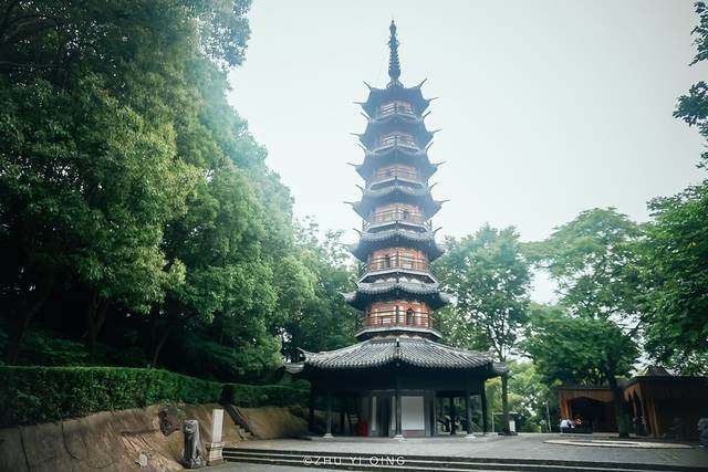 上海松江最有格调的小镇,上海松江郊野公园景色