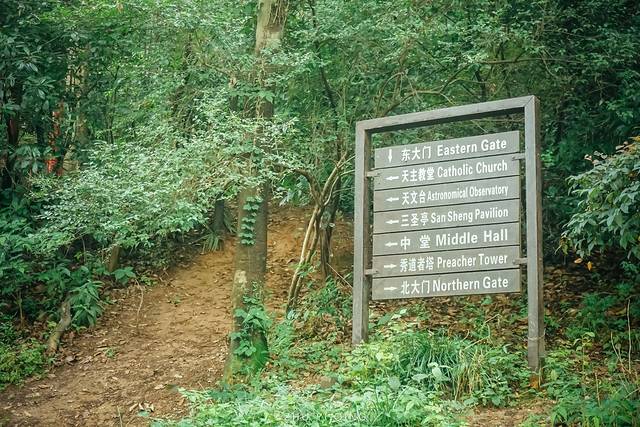 上海松江最有格调的小镇,上海松江郊野公园景色