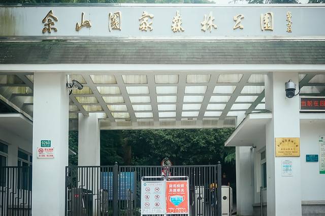 上海松江最有格调的小镇,上海松江郊野公园景色