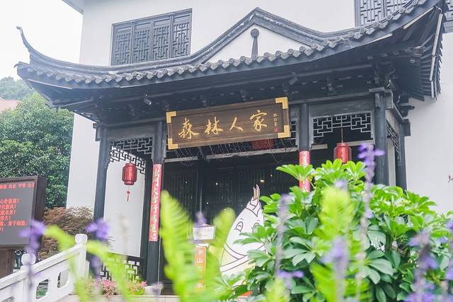 上海松江最有格调的小镇,上海松江郊野公园景色