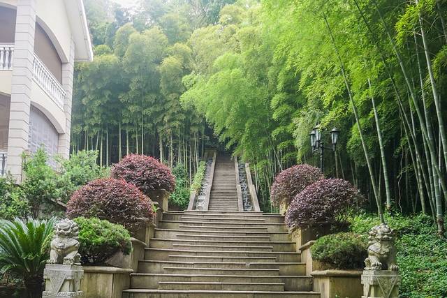 上海松江最有格调的小镇,上海松江郊野公园景色