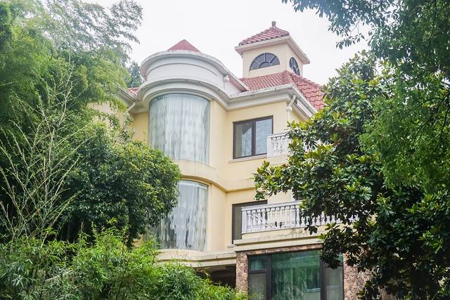 上海松江最有格调的小镇,上海松江郊野公园景色