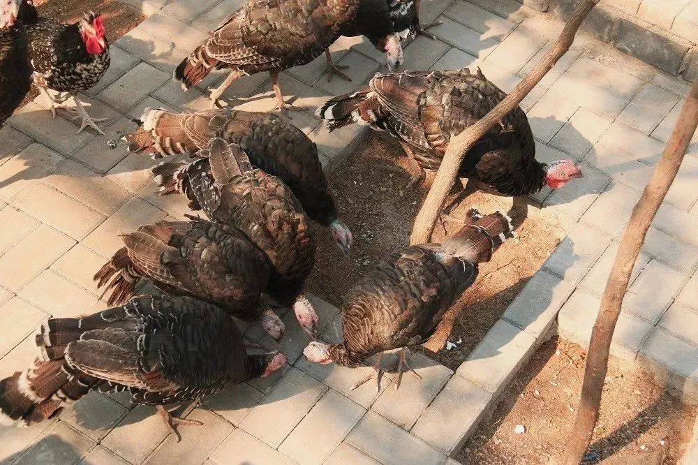 溶洞、观鸟、湿地雨林、网红吊桥、瀑布...只要99元小鲁哥带你清凉一夏