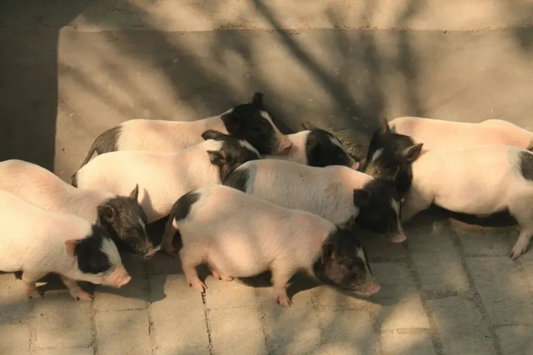 溶洞、观鸟、湿地雨林、网红吊桥、瀑布...只要99元小鲁哥带你清凉一夏